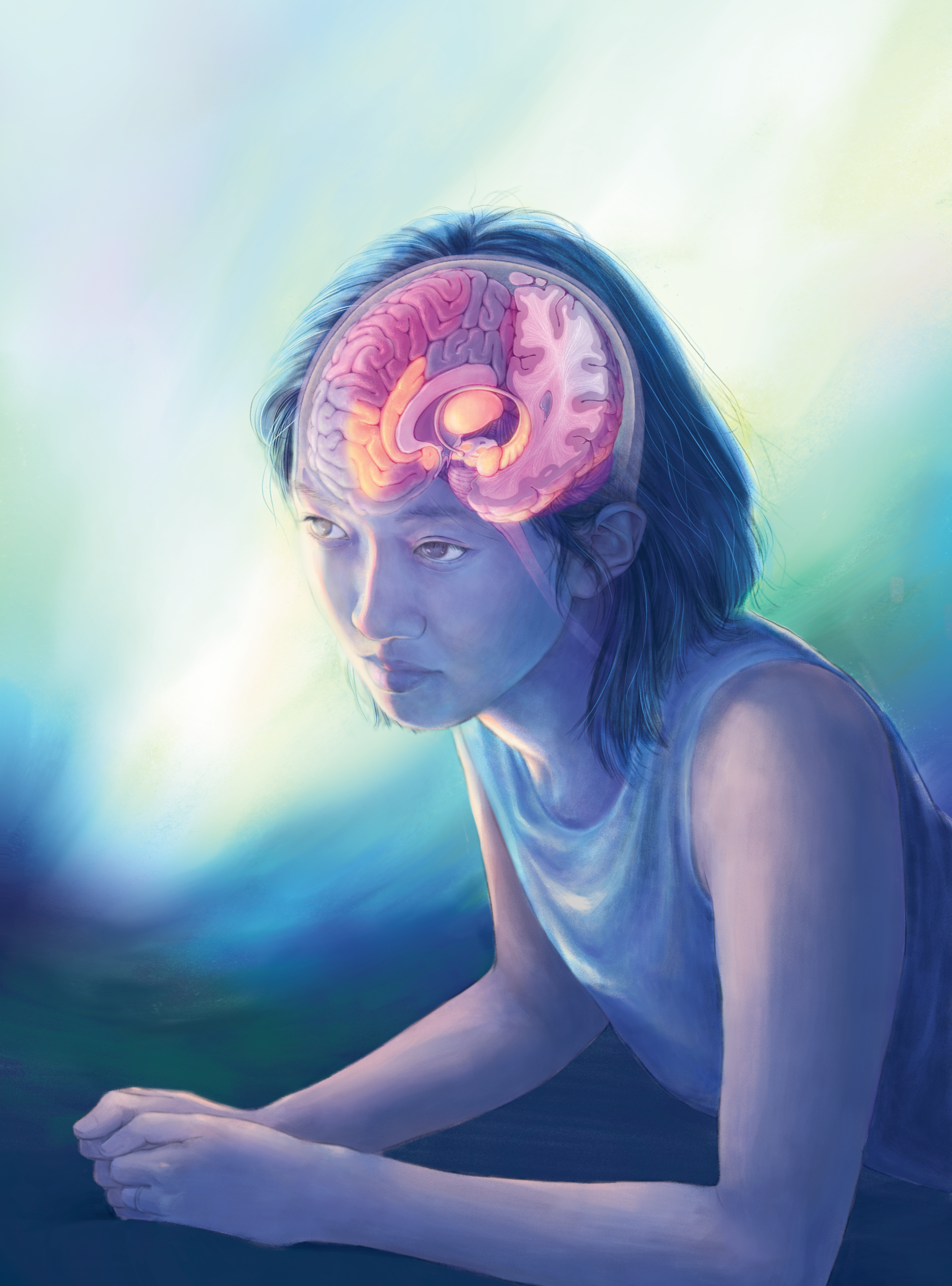 The Neuroanatomy of REM Dreaming Portrait