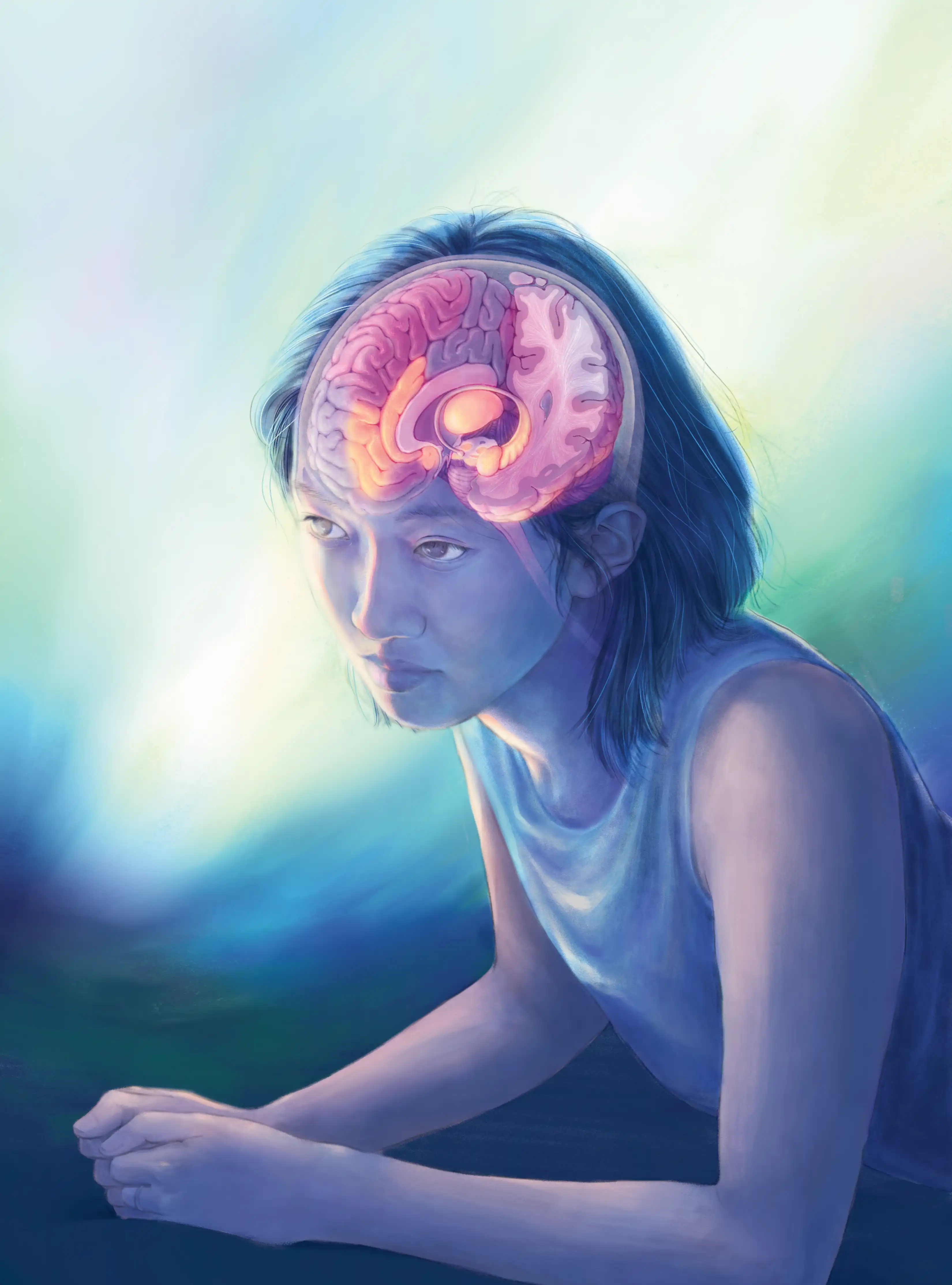 The Neuroanatomy of REM Dreaming Portrait